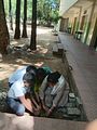 WhatsApp Image 2025-06-05 at 4.42.02 PM (1)